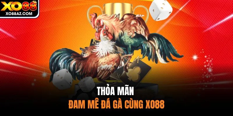 Thỏa mãn đam mê đá gà cùng XO88