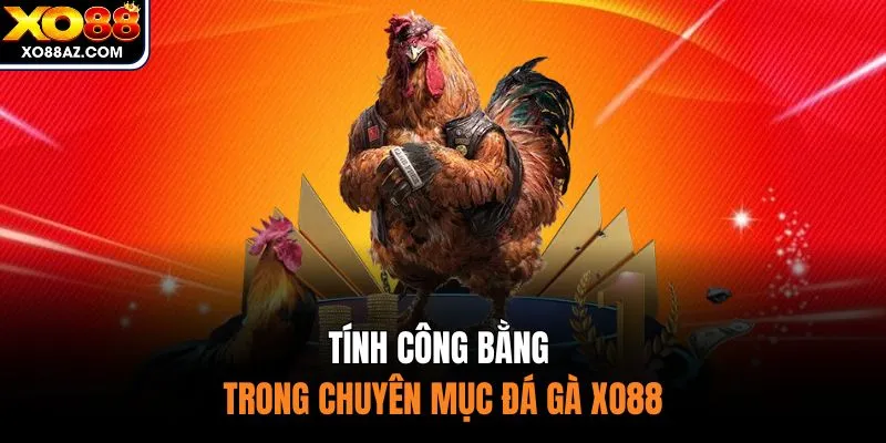 Tính công bằng trong chuyên mục đá gà XO88