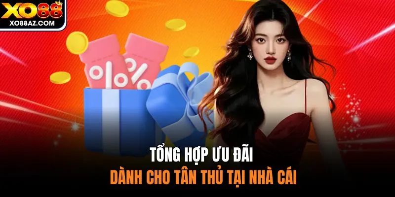 Tổng hợp ưu đãi dành cho tân thủ tại nhà cái